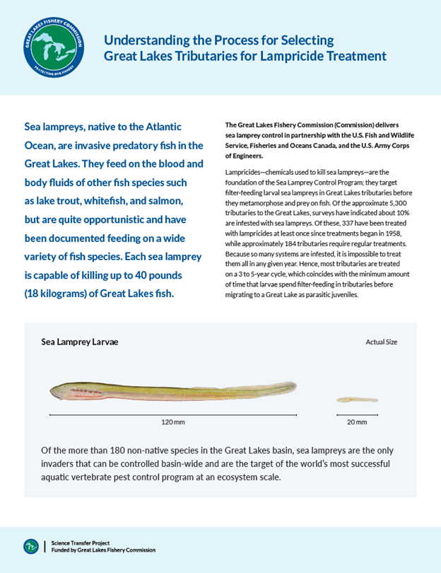 Infographic explaining how Great Lakes tributaries are selected for sea lamprey control, with text and a diagram of larval lamprey size.
